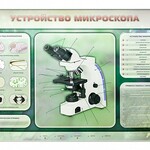 Электрифицированный стенд "Устройство микроскопа и правила работы c ним" - fgospostavki.ru - Екатеринбург