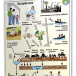 Плакаты по общей экологии для оформления кабинета. - fgospostavki.ru - Екатеринбург