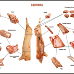 Таблица "Правила разделки мясных туш. Свинина" (100х140 сантиметров. винил) - fgospostavki.ru - Екатеринбург
