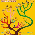 Стенд "Развитие животного мира на земле" - fgospostavki.ru - Екатеринбург