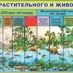 Стенд "Эволюция растительного и животного мира" - fgospostavki.ru - Екатеринбург