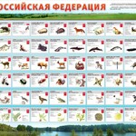 Стенд "Красная книга РФ" - fgospostavki.ru - Екатеринбург