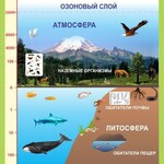 Стенд "Строение биосферы" - fgospostavki.ru - Екатеринбург