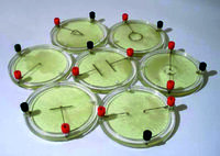 Демонстрационный комплект «Силовые линии электрического поля разных систем зарядов» - fgospostavki.ru - Екатеринбург