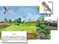 Магнитный плакат-аппликация "Поле: биоразнообразие и взаимосвязи в сообществе" - fgospostavki.ru - Екатеринбург