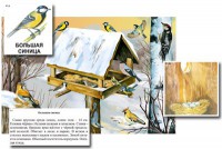 Магнитный плакат-аппликация "Биоразнообразие и экологические группы. Птицы зимой" - fgospostavki.ru - Екатеринбург