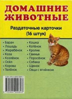 Раздаточные карточки "Домашние животные" - fgospostavki.ru - Екатеринбург