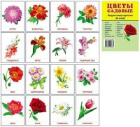 Раздаточные карточки "Цветы садовые" - «ФГОС Поставки»