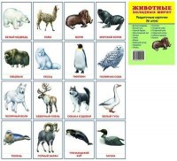 Раздаточные карточки "Животные холодных широт" - «ФГОС Поставки»
