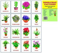 Раздаточные карточки "Комнатные растения" - «ФГОС Поставки»