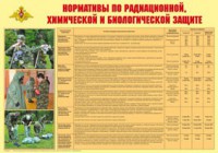 Плакат "Нормативы по радиационной, химической и биологической защите" - fgospostavki.ru - Екатеринбург