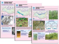 Комплект таблиц по географии "Природные зоны России" раздаточные (цветные, ламинированные, А4, 10 штук) - «ФГОС Поставки»