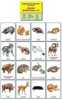 Раздаточные карточки "Дикие животные (1)" - «ФГОС Поставки»