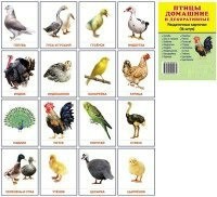 Раздаточные карточки "Птицы домашние и декоративные" - «ФГОС Поставки»