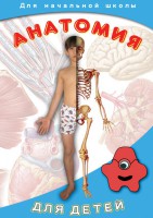 DVD "Анатомия для детей" - «ФГОС Поставки»