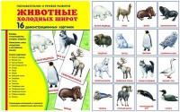 Демонстрационные карточки "Животные холодных широт" - «ФГОС Поставки»