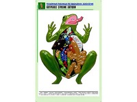 Рельефная таблица "Внутреннее строение лягушки" (формат А1, матовое ламинирование) - fgospostavki.ru - Екатеринбург