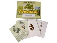 Гербарий "Деревья и кустарники" (22 вида, с иллюстрациями) - fgospostavki.ru - Екатеринбург