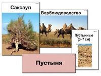 Модель-аппликация "Природные зоны России" (ламинированная) - fgospostavki.ru - Екатеринбург