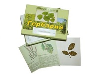 Гербарий "Дикорастущие растения" (30 видов, с иллюстрациями) - fgospostavki.ru - Екатеринбург