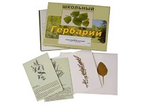 Гербарий "Лекарственные растения" (22 вида с иллюстрациями) - fgospostavki.ru - Екатеринбург