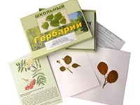 Гербарий "Систематика растений. Семейство Розоцветные" (раздаточный) - fgospostavki.ru - Екатеринбург