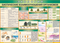 Таблица "Биотические взаимоотношения организмов" (100х140 сантиметров, винил) - fgospostavki.ru - Екатеринбург
