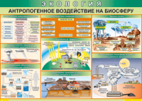 Таблица "Антропогенное воздействие на биосферу" (100х140 сантиметров, винил) - fgospostavki.ru - Екатеринбург