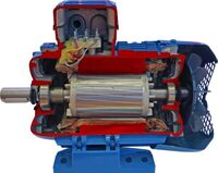 Учебная модель «Электродвигатель асинхронный в разрезе» - fgospostavki.ru - Екатеринбург