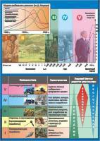 Таблица демонстрационная "Этапы взаимодействия человека и природы" (винил 70*100) - «ФГОС Поставки»