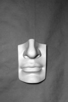 Гипсовая модель "Нос с губами" - «ФГОС Поставки»