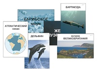 Модель-аппликация "Океаны. Знакомство" (ламинированная) - fgospostavki.ru - Екатеринбург