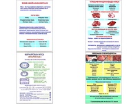 Плакаты ПРОФТЕХ "Классификации и виды мяса" (4 пл, винил, 70х100) - fgospostavki.ru - Екатеринбург