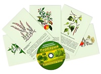 Интерактивный наглядный комплекс "Гербарий "Для начальной школы" - fgospostavki.ru - Екатеринбург