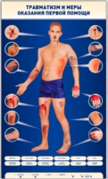 Электрифицированный стенд-тренажер "Травматизм и меры оказания первой помощи" - fgospostavki.ru - Екатеринбург