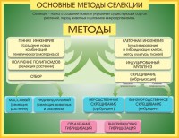 Стенд "Методы селекции и биотехнологии" - fgospostavki.ru - Екатеринбург