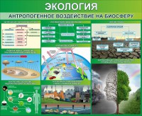 Стенд "Экология. Антропогенное воздействие на биосферу" - fgospostavki.ru - Екатеринбург