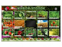 Комплект оборудования "Живой уголок" (растения) - «ФГОС Поставки»