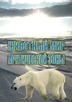 DVD "Животный мир Арктической зоны" - fgospostavki.ru - Екатеринбург