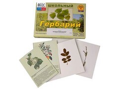 Гербарий "Деревья и кустарники" (22 вида, с иллюстрациями) - fgospostavki.ru - Екатеринбург