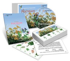 Комбинированное наглядное пособие «Растения» - fgospostavki.ru - Екатеринбург