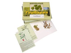 Гербарий "Для начальной школы" (30 видов, с иллюстрациями) - fgospostavki.ru - Екатеринбург