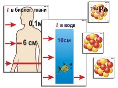 Модель-аппликация "Явление радиоактивности" (ламинированная) - fgospostavki.ru - Екатеринбург