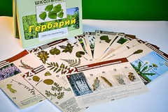 Гербарий к курсу основ общей биологии - fgospostavki.ru - Екатеринбург