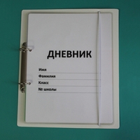 Дневник школьника (с полным набором карточек) - fgospostavki.ru - Екатеринбург