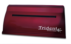 Принтер для печати рельефно-точечным шрифтом Брайля Trident - fgospostavki.ru - Екатеринбург
