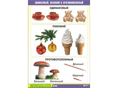 Таблица демонстрационная "Одинаковый, похожий и противоположный" (винил 70x100) - fgospostavki.ru - Екатеринбург