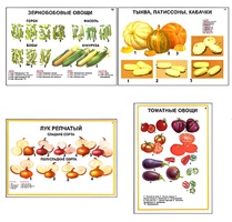Плакаты ПРОФТЕХ "Ассортимент овощных культур" (12 пл, винил, 70х100) - fgospostavki.ru - Екатеринбург