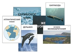 Модель-аппликация "Океаны. Знакомство" (ламинированная) - fgospostavki.ru - Екатеринбург