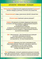 Таблица "Алгоритм описания реакции" (100х140 сантиметров, винил) - fgospostavki.ru - Екатеринбург